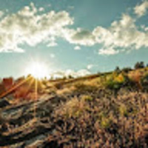 Meet your Posher, Derek